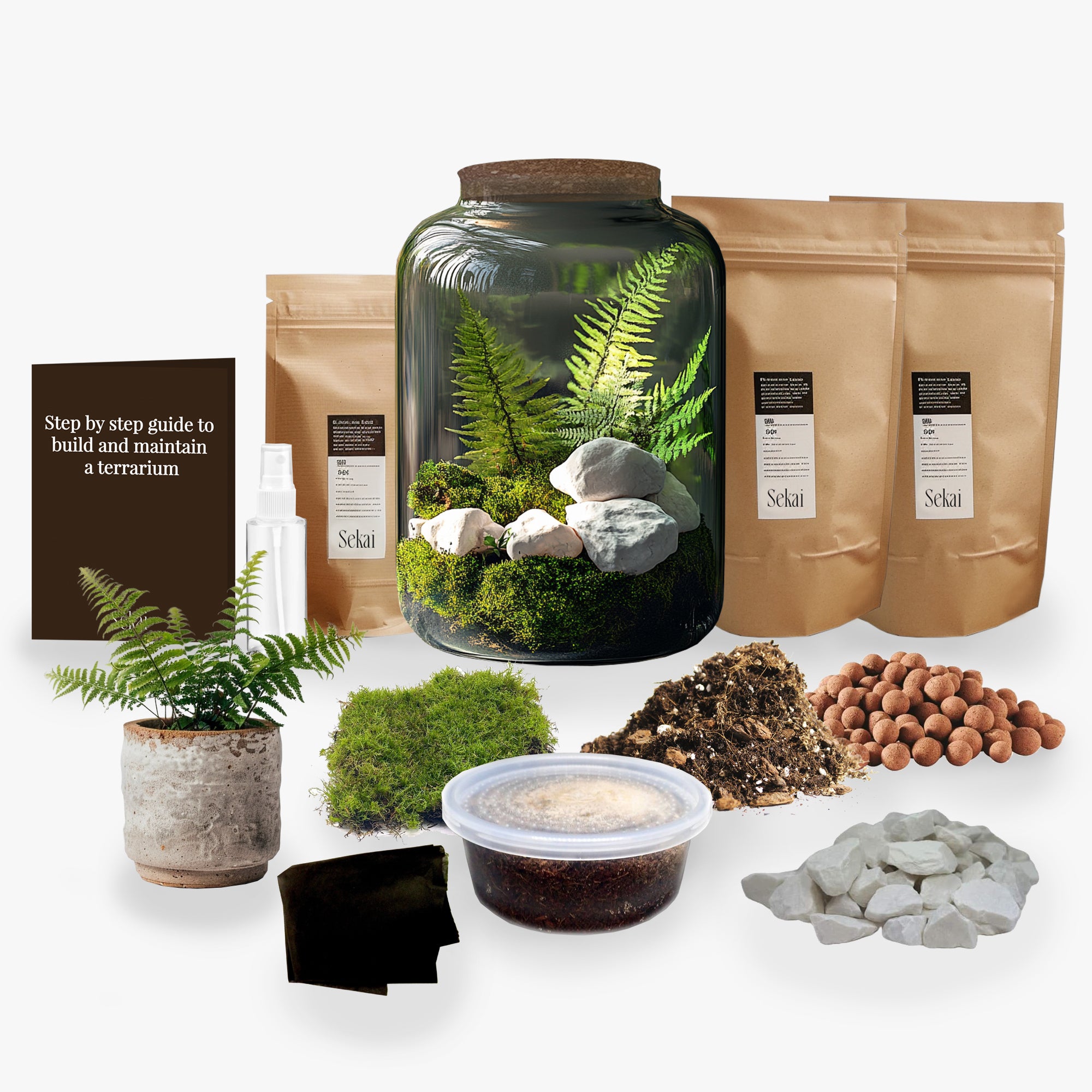 Elysium DIY Closed Terrarium Kit