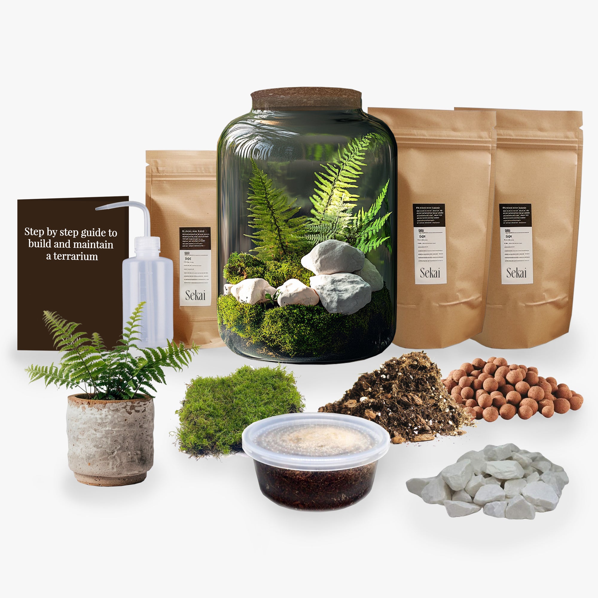 Elysium DIY Closed Terrarium Kit