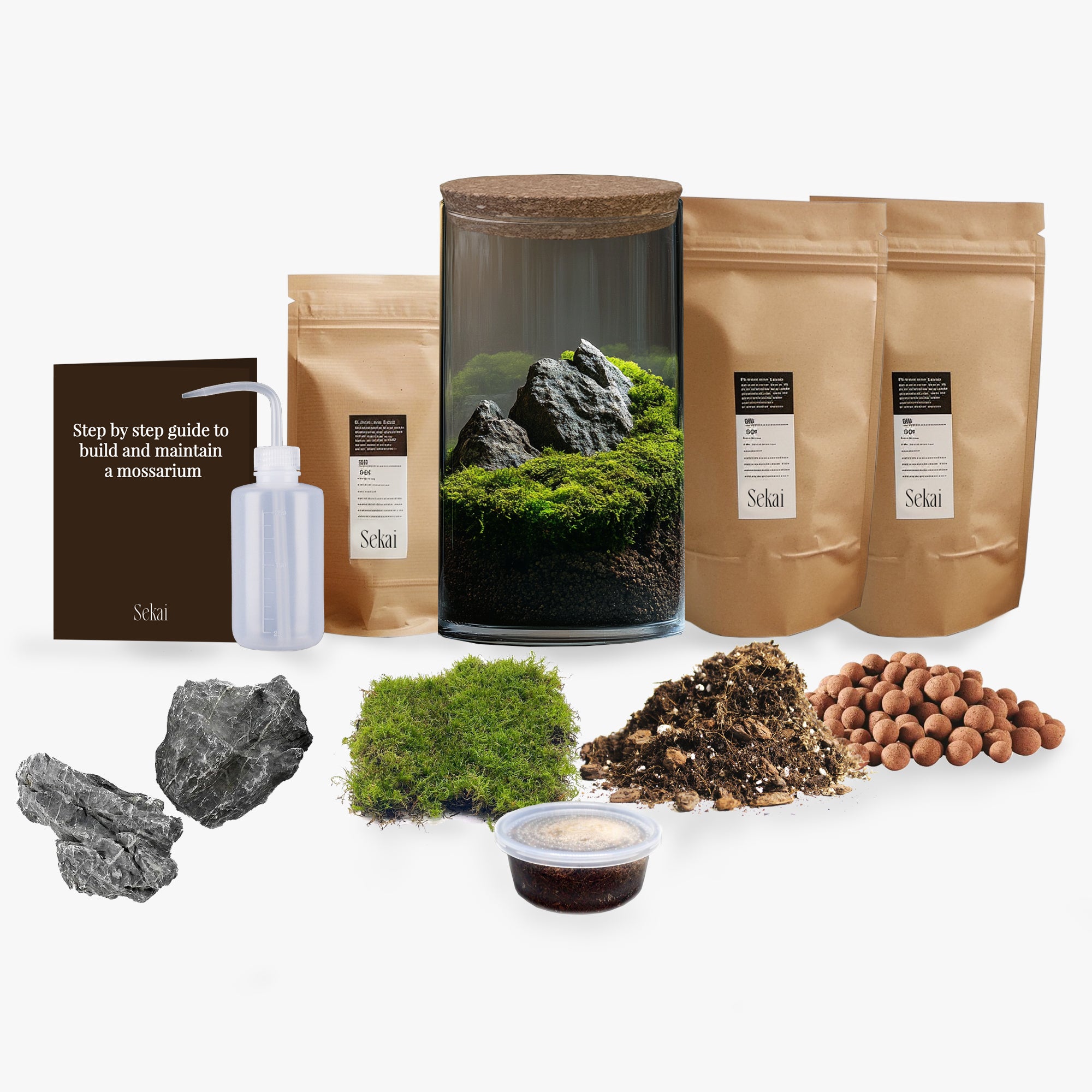 Seiryu DIY Closed Mossarium Kit