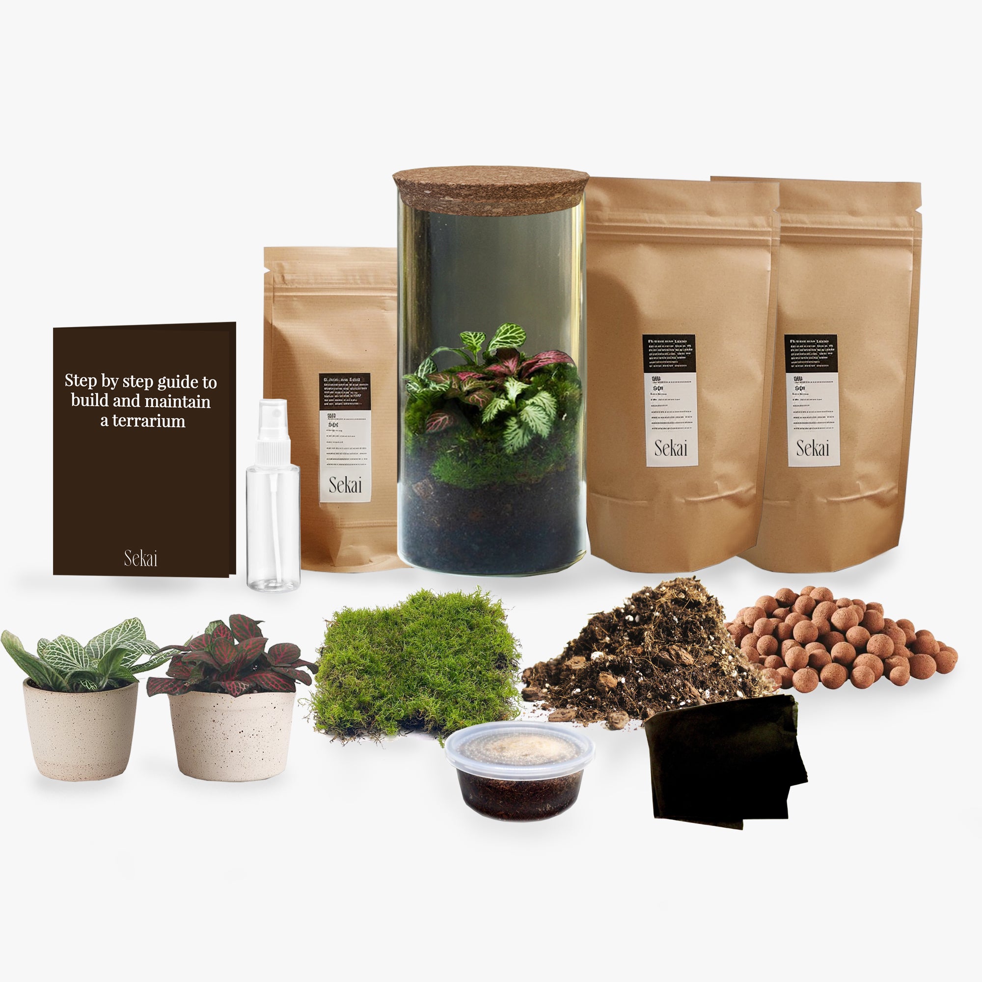 Fittonia DIY Closed Terrarium Kit