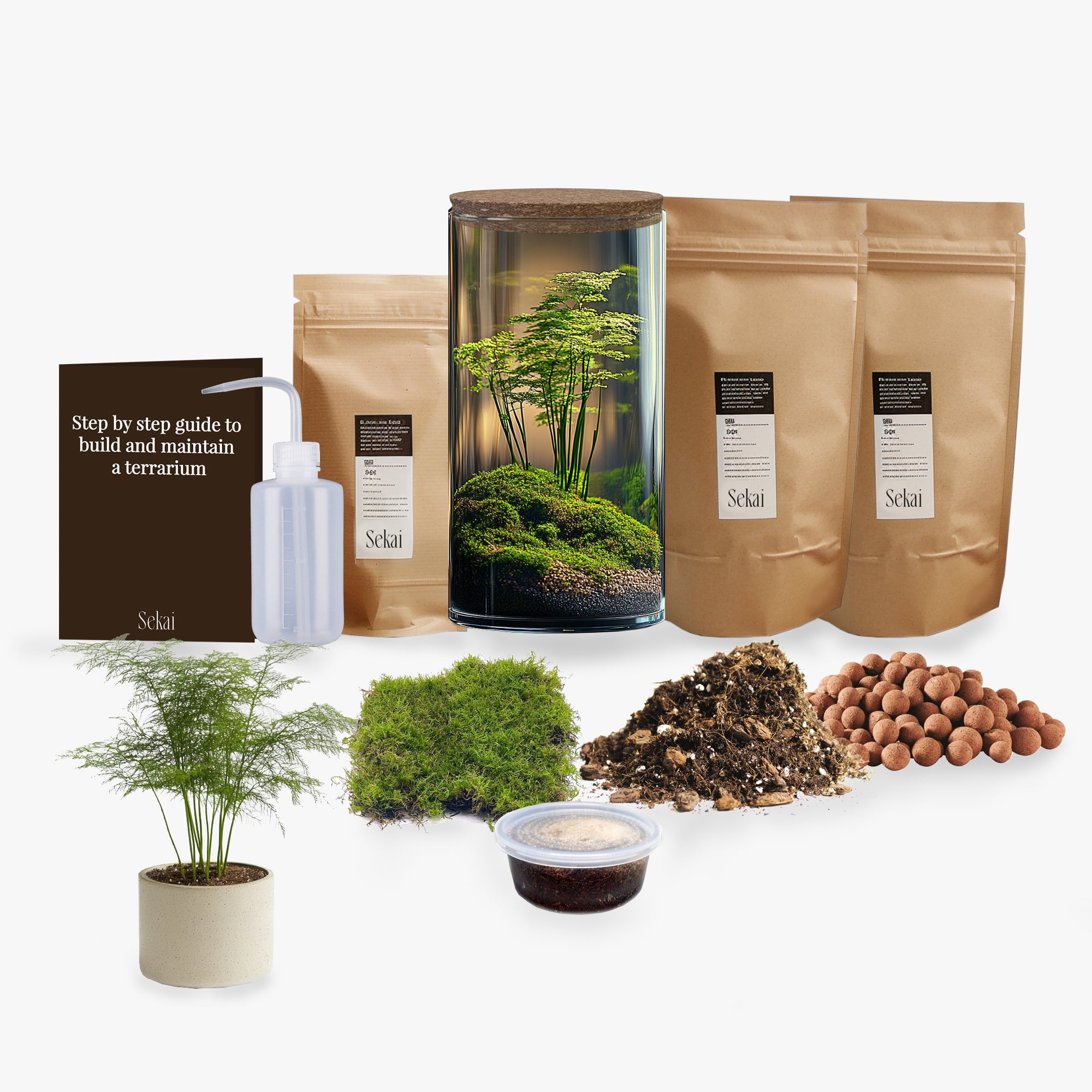 Pluma DIY Closed Terrarium Kit