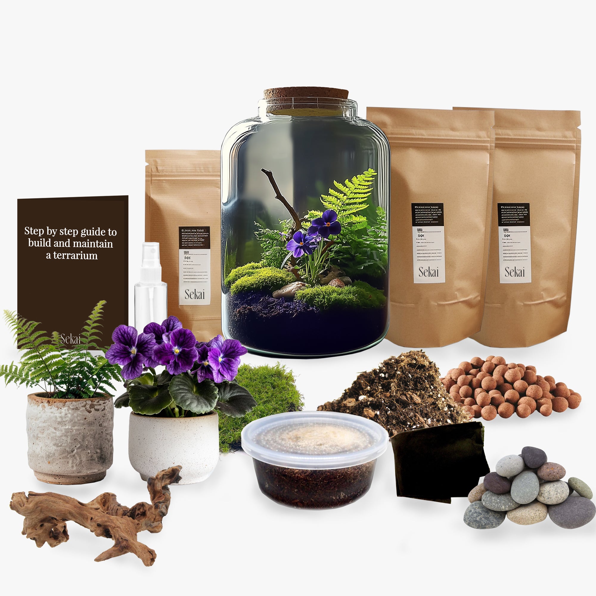 Medium African Violet DIY Closed Terrarium Kit