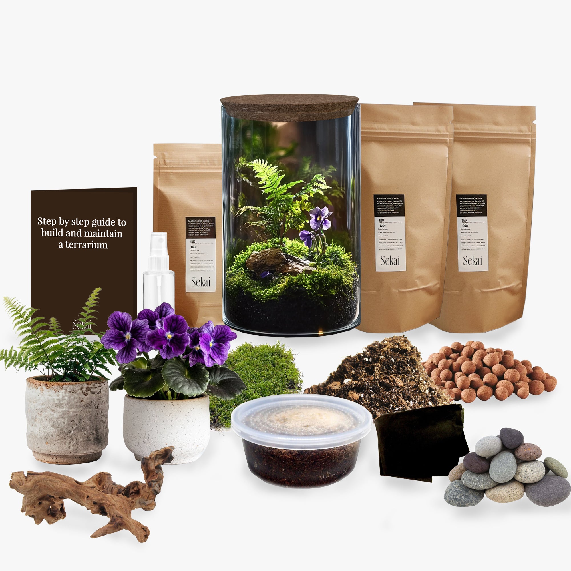 Small African Violet DIY Closed Terrarium Kit